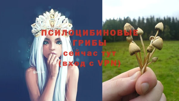 прущие крисы Аркадак