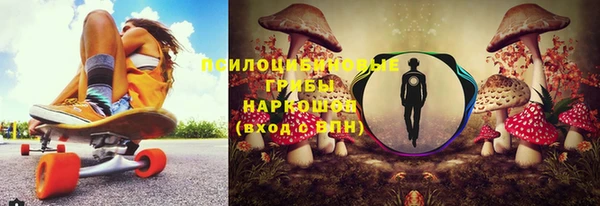 прущие крисы Аркадак