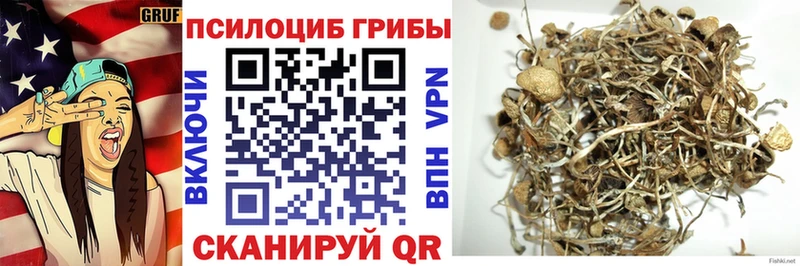 Галлюциногенные грибы мицелий  Мичуринск 